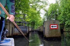 deutsches_trachtenfest_luebben_4_20190527_1087729249