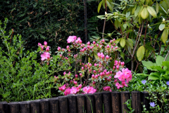 deutsches_trachtenfest_luebben_9_20190527_1982464302